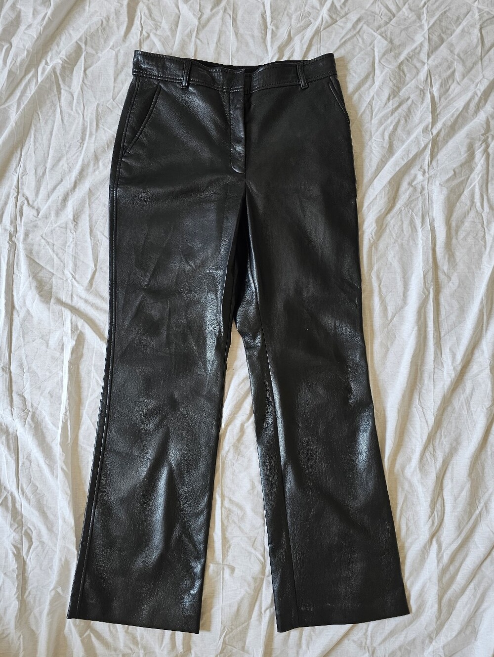 Aritzia Babaton 10 Command straight leg vegan leather pants
